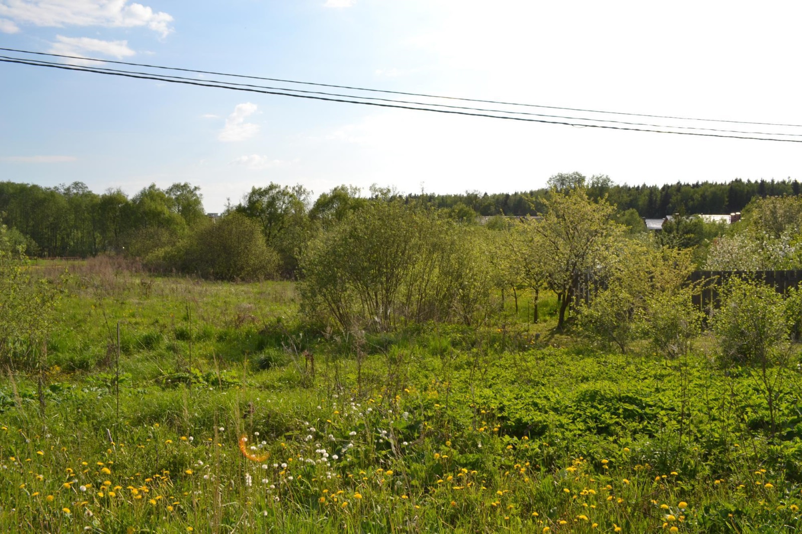 Пейзаж у деревни Ямищево