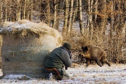 Охота в Одинцовском районе
