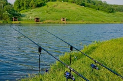 Рыболовно-спортивный комплекс Ромашково