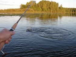 Рыбалка в Одинцовском районе
