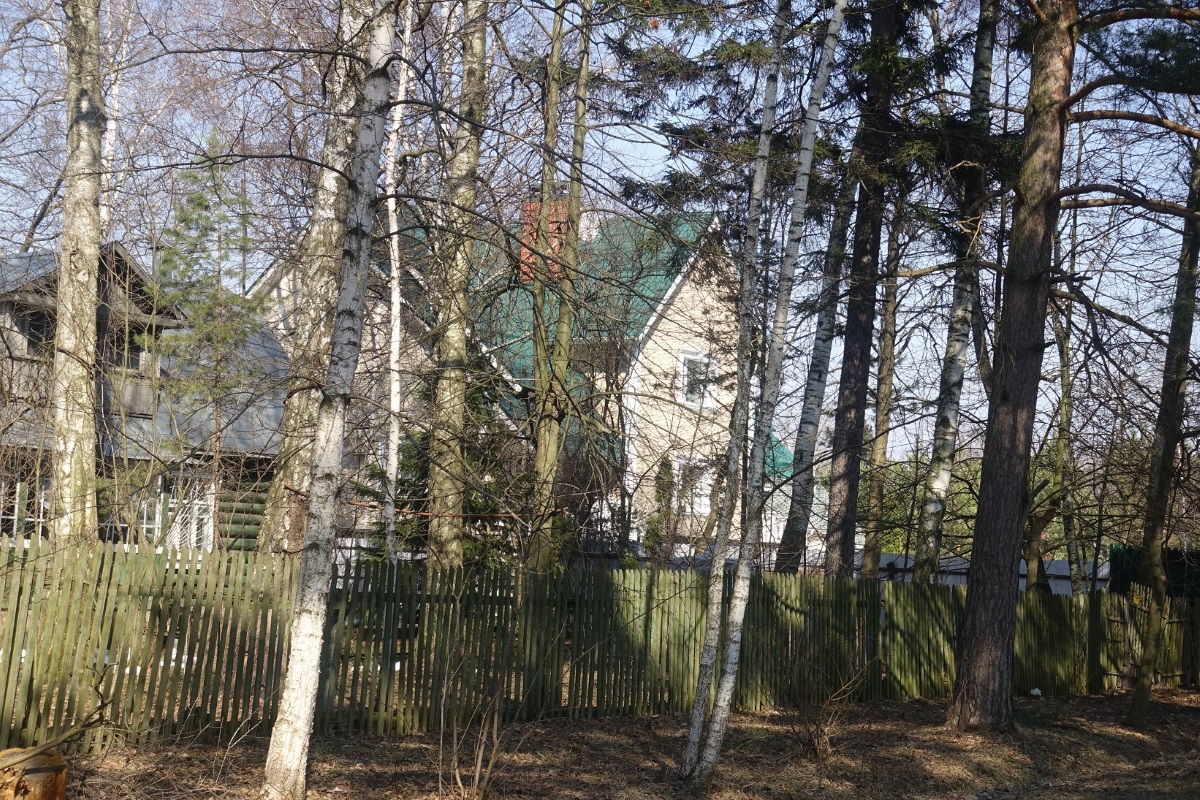 Дома на противоположной от дома Тарковких стороне Пролетарского проспекта в Голицыно