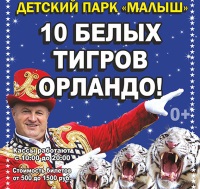 Цирк «Максимус» в Одинцово