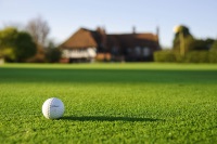 В Одинцовском районе строится гольф-поле
